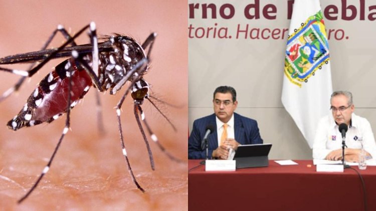 Salud confirma primer muerte por dengue en Puebla