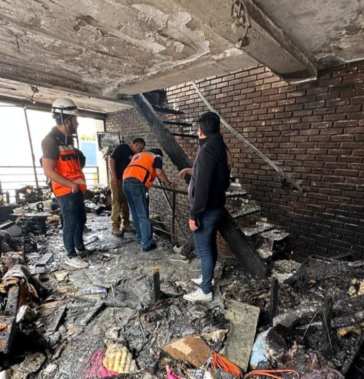 Mueren seis perritos durante incendio en la colonia Nápoles