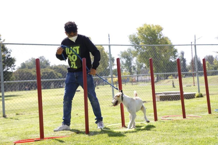 Celebrará Municipio de Tecámac el “Día del Perro” con Diversas Actividades