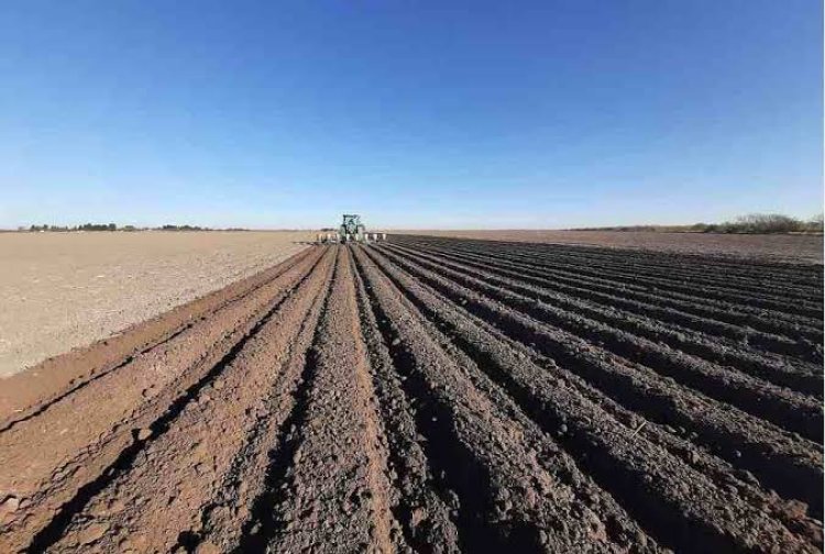 Peligran distritos de riego en Tamaulipas