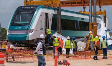 AMLO decreta expropiación de 150 nuevas hectáreas para Tren Maya