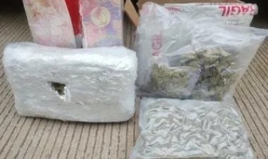 Encuentran paquetes de marihuana en envoltura de regalo