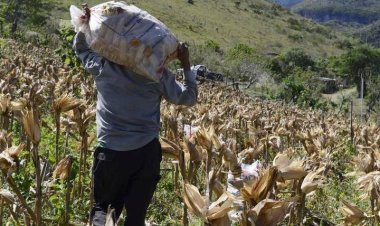 Debido a la falta de producción agropecuaria, familias del medio rural buscan oportunidades en la capital de Durango