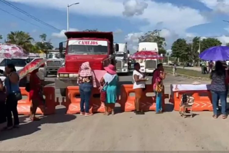 Maquinaria de Tren Maya destruye el camino de acceso de la colonia Fraternidad Antorchista de Chetumal