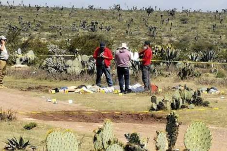 Son hallados cinco cadáveres en Pino, Zacatecas