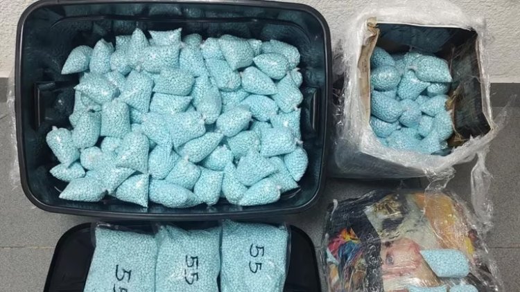 500 mil pastillas de fentanilo son decomisadas en Sinaloa