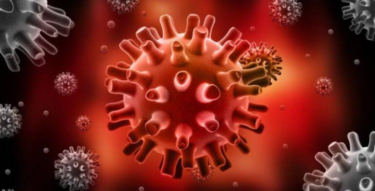 Potencial vacuna para el virus del herpes humano es desarrollada