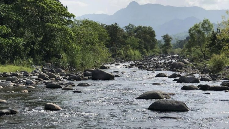 Niña de 12 años muere ahogada en Hidalgo