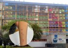 UNAM desmiente presencia de chinches en la Facultad de Química