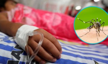 Alarma por incremento de casos de Dengue en la península