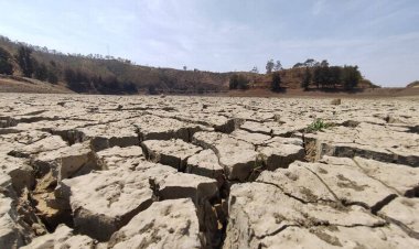 La sequía afecta la producción agrícola en Salamanca