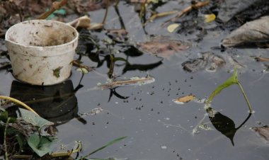 Se activa en Campeche alerta epidemiológica por incremento de casos de dengue