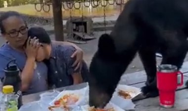 Oso negro interrumpe comida familiar en el parque Chipinque en San Pedro Garza García en Nuevo León