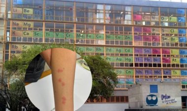 UNAM desmiente presencia de chinches en la Facultad de Química