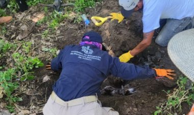 Desaparecen otros tres jóvenes en Jalisco