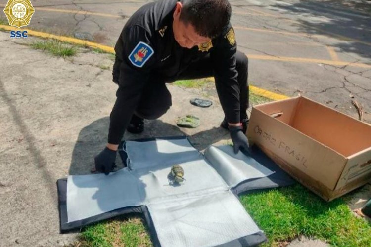 Aseguran granada de fragmentación en Lomas de Chapultepec, CDMX