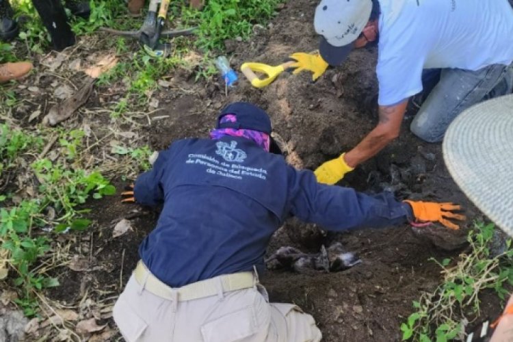 Desaparecen otros tres jóvenes en Jalisco