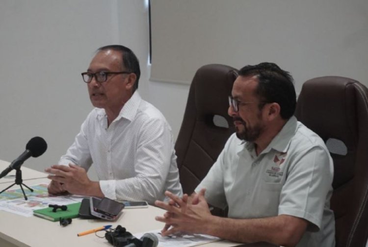 Descarta Salud Campeche muertes por dengue, aunque confirma repunte de casos