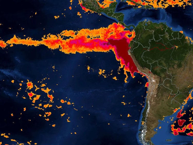 Se espera un invierno caluroso a causa del fenómeno de  “El Niño”