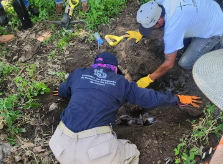 Desaparecen otros tres jóvenes en Jalisco