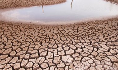 Crisis hídrica provoca sequía en San Luis Potosí