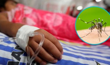 IMSS Campeche confirma 18 hospitalizados por síntomas de dengue