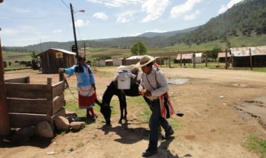 Los pueblos indígenas abandonados por el presupuesto federal