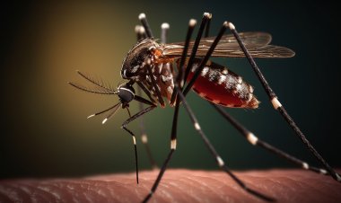 Se confirman las tendencias de dengue, supera cinco veces cifras de 2022