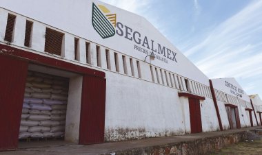 Piden que Segalmex aumente de 17 a 25 pesos por kilo de frijol