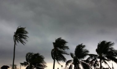 Realizan alertamiento preventivo en Chiapas por tormenta tropical Pilar