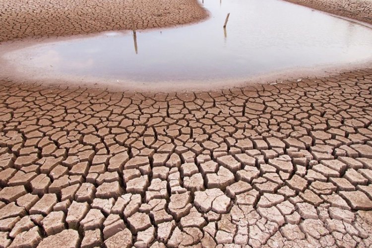 Crisis hídrica provoca sequía en San Luis Potosí