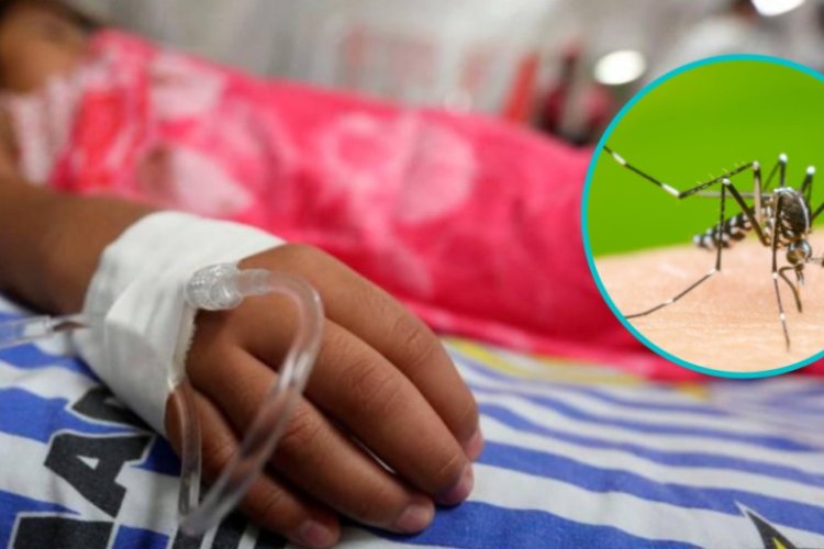 IMSS Campeche confirma 18 hospitalizados por síntomas de dengue