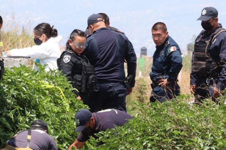 Encuentran “embolsado” cerca de canal de aguas negras en Chimalhuacán, Edomex