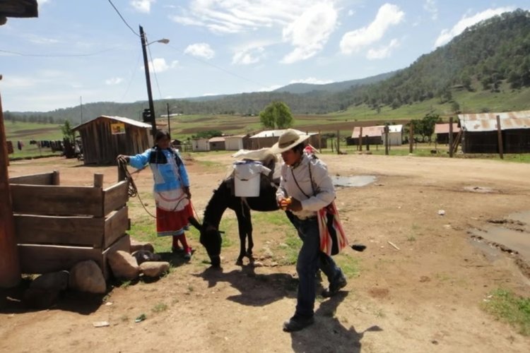 Los pueblos indígenas abandonados por el presupuesto federal