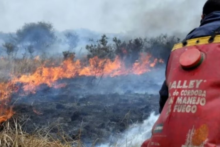 Alarmante incendio en Argentina arrasa con miles de hectáreas y amenaza con llegar a la ciudad