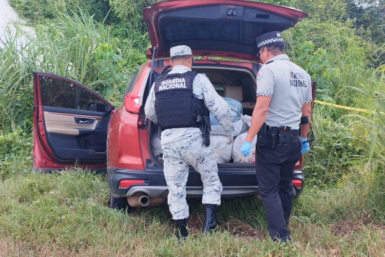 Guardia Nacional asegura camioneta robada con 55 kilogramos de marihuana en Nayarit