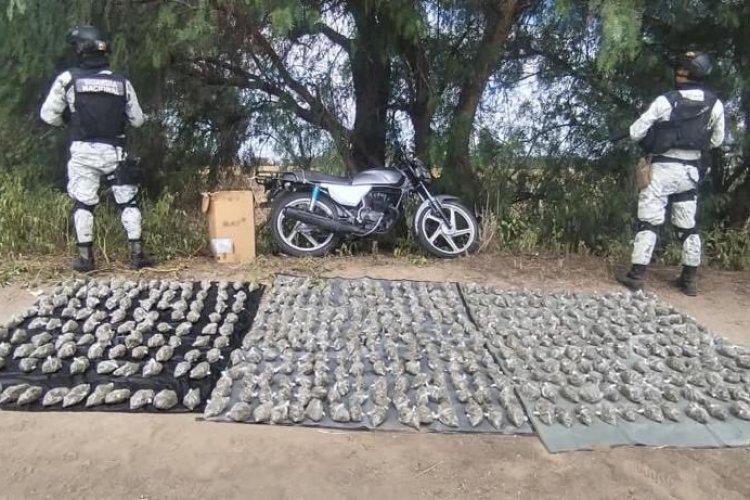 Elementos de la Guardia Nacional aseguraron 460 paquetes de plástico con marihuana