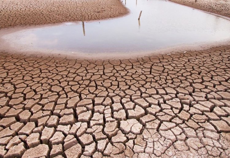 Crisis hídrica provoca sequía en San Luis Potosí