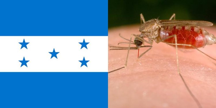 Emiten alerta sanitaria en Honduras por brote de malaria entre migrantes irregulares