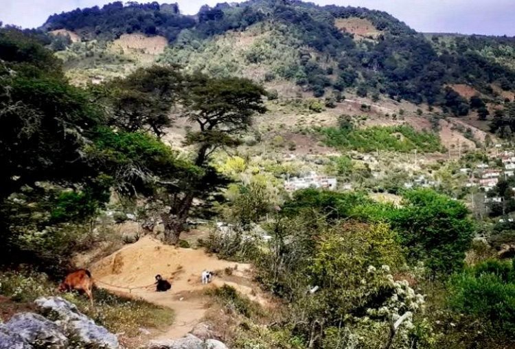 Aumentan carencias sociales con la 4T en agencias en la Sierra Sur