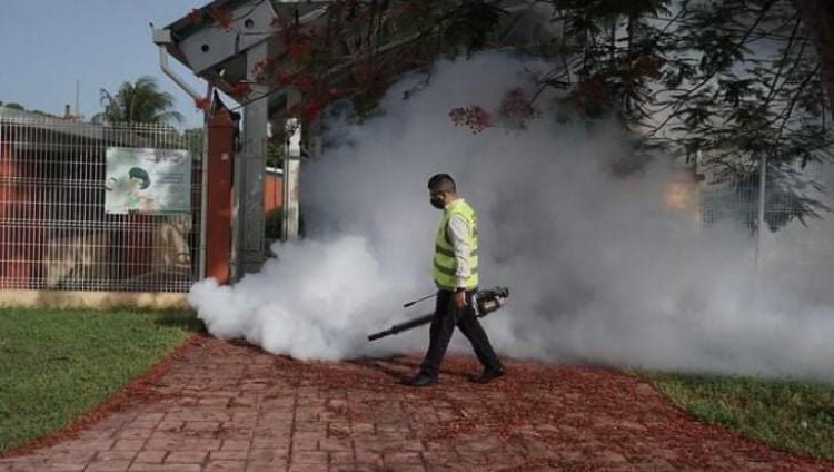 Deja el dengue en Guerrero seis muertos y mil 108 casos confirmados