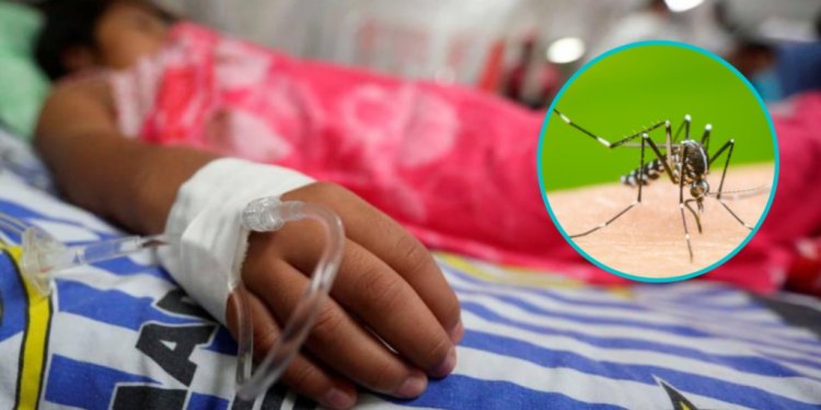 IMSS Campeche confirma 18 hospitalizados por síntomas de dengue