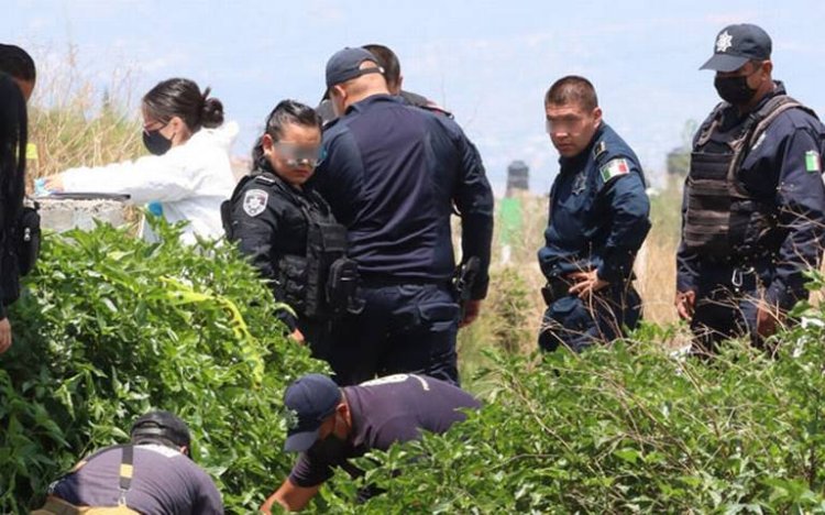 Encuentran “embolsado” cerca de canal de aguas negras en Chimalhuacán, Edomex