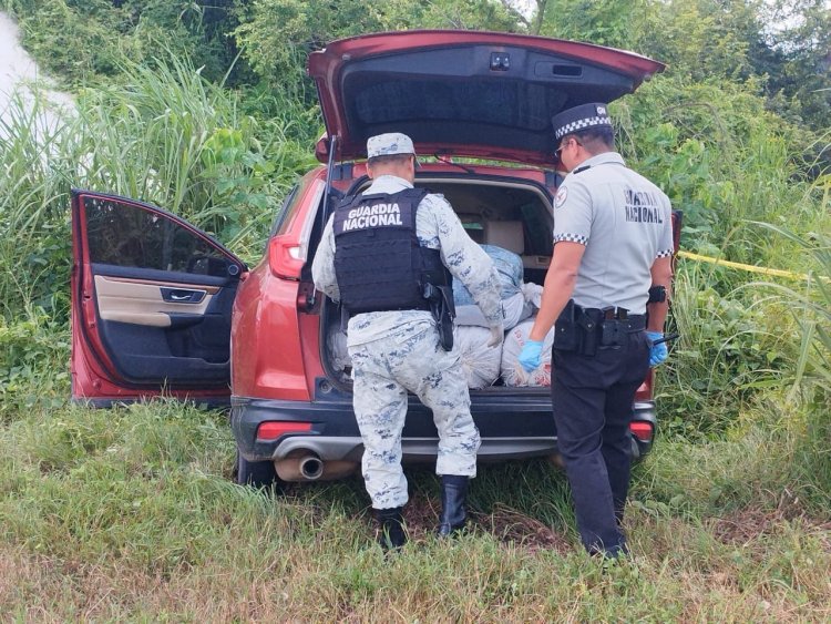 Guardia Nacional asegura camioneta robada con 55 kilogramos de marihuana en Nayarit