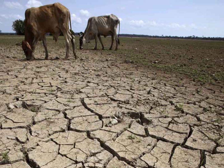 Estado de Chihuahua emite declaratoria de emergencia por sequía extrema