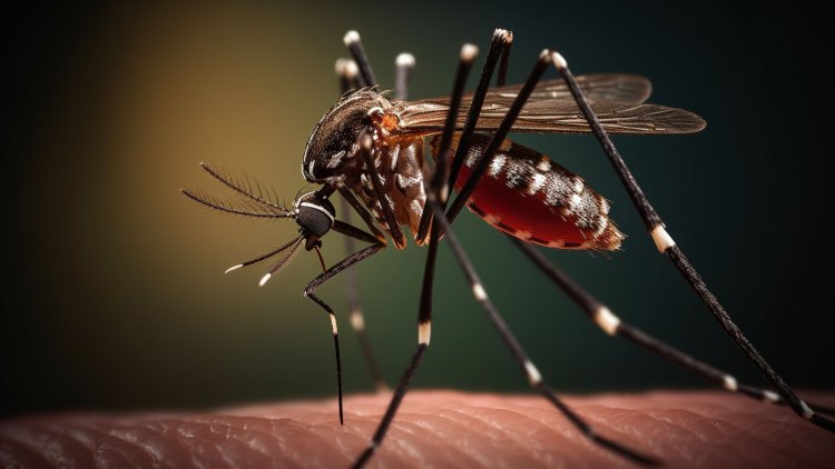 Se confirman las tendencias de dengue, supera cinco veces cifras de 2022