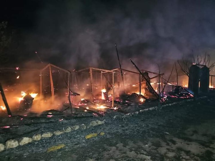 Se registró incendio en zoológico ‘Yaguar Xoo’ en Oaxaca