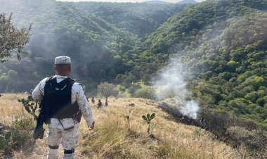 Reportaron la muerte de cuatro personas tras desplome de avioneta en Morelos