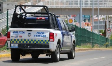 Encuentran a perro comiendo órganos humanos en Guanajuato