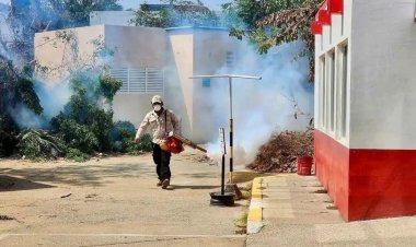 Prevén incremento de casos de dengue en Acapulco